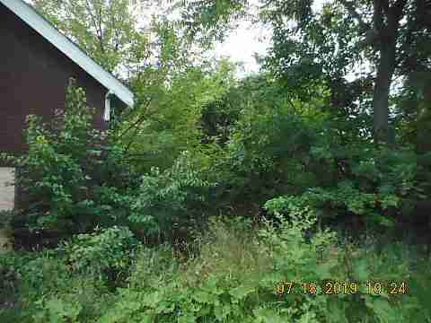 2629 Algonquin (10)_m.jpg